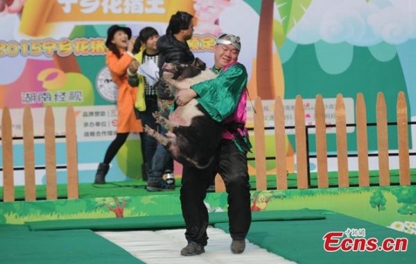 Cuộc thi bế lợn tại Trung Quốc