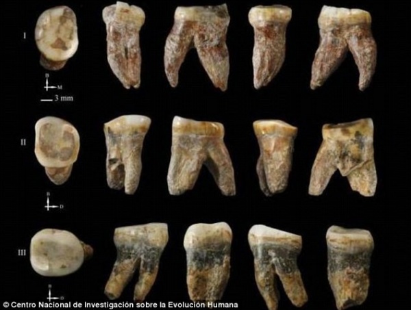 Răng, xương sọ của chủng người bí ẩn nằm trong hang đá