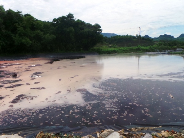 Vụ cá chết trên sông ở Thanh Hóa: Do nước thải của cơ sở bột giấy
