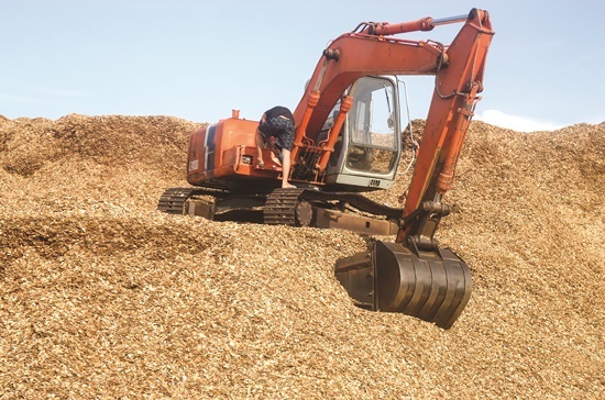 Trung Quốc giảm nhập, doanh nghiệp xuất khẩu gỗ dăm "lao đao"