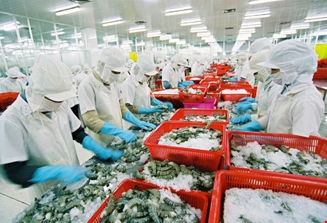 Tôm, cá Việt kiến nghị gỡ khó xuất khẩu hàng sang TQ
