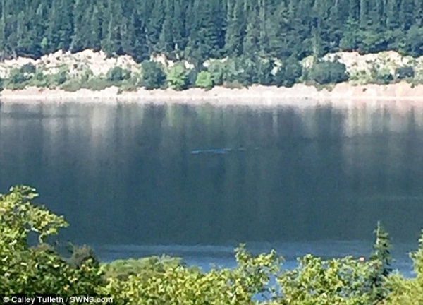 Du khách chụp được ảnh quái vật hồ Loch Ness?