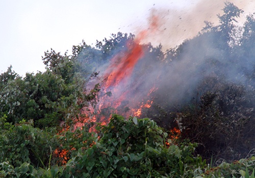 Rừng Hải Vân bùng cháy dữ dội sau tiếng nổ như bom