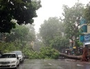 Hà Nội: Gió quật đổ cây, giật tung cột điện