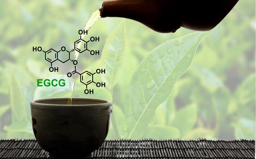 Trà xanh Không độ giữ nguyên chất lá trà Thái Nguyên?