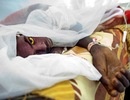 Nguy cơ bùng phát đại dịch sốt vàng da trên thế giới