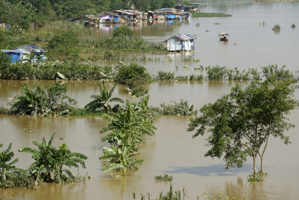 Nước dâng ngập bãi giữa sông Hồng, xóm "bụi" Hà Nội điêu đứng