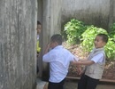 “Ám ảnh” nhà vệ sinh trường học