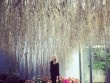 Nàng nghệ sĩ Anh khoe thiên đường hàng trăm nghìn hoa