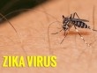 Virus Zika tăng phi mã ở Singapore, nhiều nước nháo nhào cảnh báo