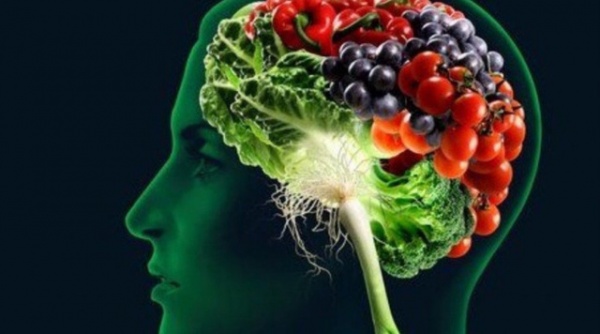 6 vitamin và khoáng chất làm tăng sức mạnh của bộ não