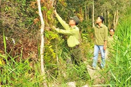 Gần 400 tỷ đồng bảo tồn và phát triển Vườn Quốc gia U Minh Hạ