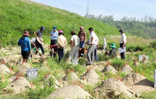 Di dời hàng trăm ngôi mộ bị đào “trộm” về xã Phước Đồng
