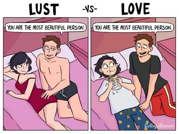 Hài hước sự so sánh giữa "yêu vì yêu" và "yêu vì sex"