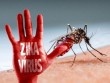 Tin mới nhất về trường hợp người Việt nhiễm virus Zika ở Nhật Bản