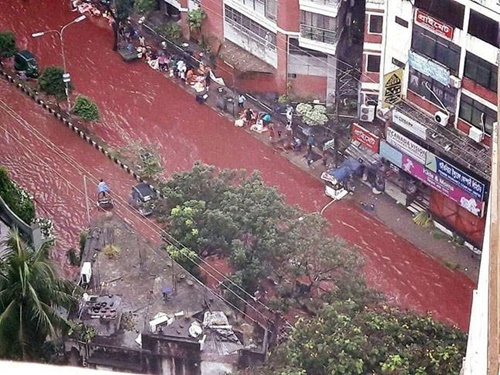 Đường phố Bangladesh biến thành sông máu vì lễ hiến tế động vật