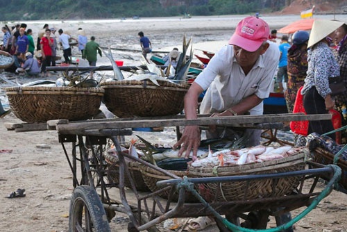 Tổng cục Thuỷ sản: Người dân yên tâm ăn cá miền Trung
