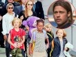 Brad Pitt suy sụp vì không được gặp các con sau khi ly hôn