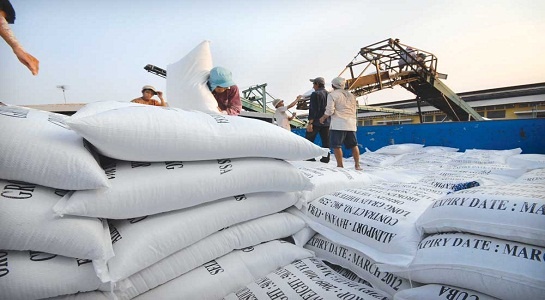 Gạo VN đứng trước nguy cơ bị cấm nhập khẩu vào Mỹ