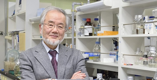 Nobel y học 2016 vinh danh nhà khoa học Nhật Bản Yoshinori Ohsumi