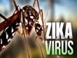 Phát hiện thêm 2 phụ nữ nhiễm vi rút Zika tại TP. HCM và Bình Dương