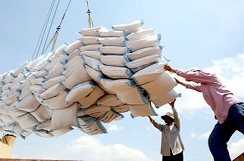 Xuất khẩu gạo tiếp tục gặp nhiều khó khăn