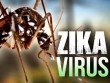 Phát hiện 7 trường hợp nhiễm virus Zika ở Việt Nam