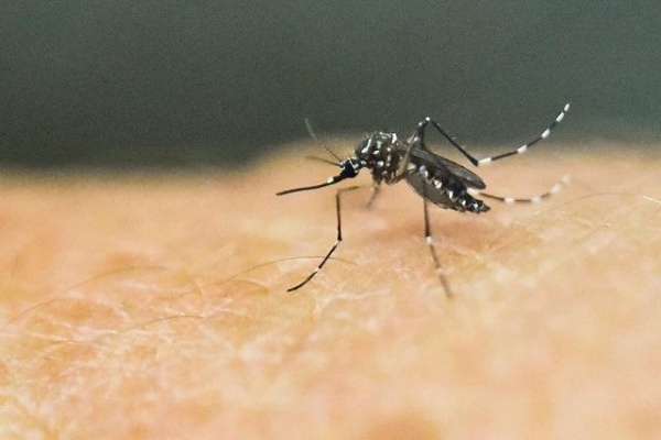Vi rút Zika có thể trú ngụ 2 tuần trong âm đạo?
