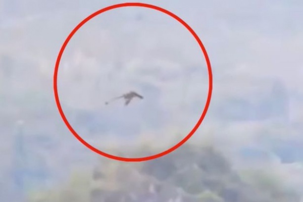 Phát hiện rồng khổng lồ bay trên núi ở Trung Quốc?