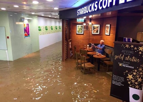 Cụ ông bình thản đọc báo trong quán cafe ngập lụt ở Hong Kong