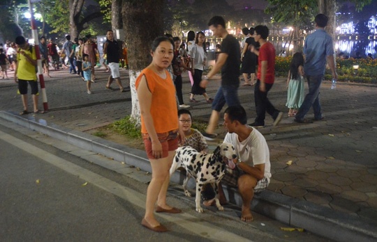 Hà Nội cấm chó không rọ mõm vào phố đi bộ quanh Hồ Gươm