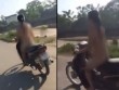 Cô gái khỏa thân chạy xe máy ở Hà Nội: Bệnh hay trào lưu thích khác người?