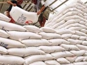 "Loay hoay" tìm đường tiêu thụ hơn 1 triệu tấn gạo tồn kho