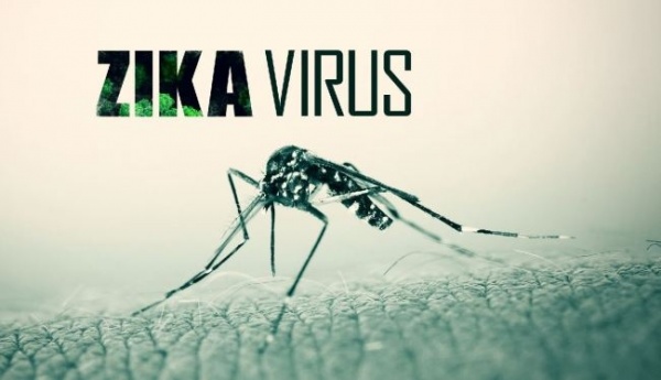 TP.HCM: Ngày nào cũng phát hiện ca nhiễm virus Zika