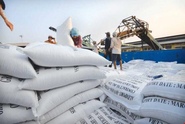 1 năm buồn cho hạt gạo Việt