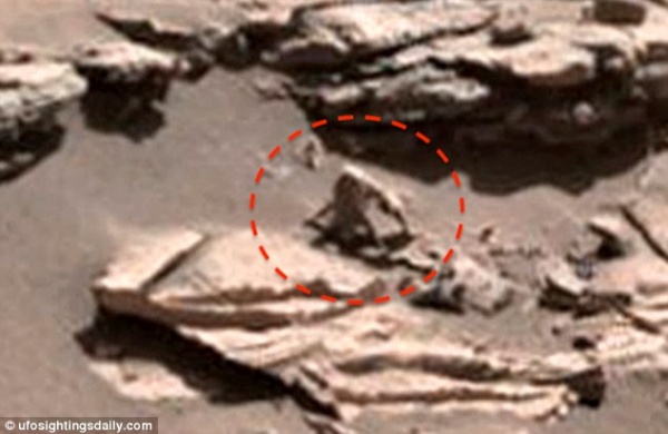 Phát hiện khỉ nhện trên sao Hỏa?