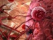 Tế bào ung thư được kích hoạt như thế nào? Ai dễ rơi vào tầm ngắm?