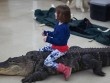 Hãi hùng trò chơi nguy hiểm nhất thế giới: Bé gái cưỡi cá sấu trong ngày sinh nhật