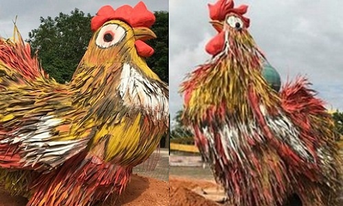 Cặp gà lạ trang trí Tết gây sửng sốt ở Quảng Ngãi