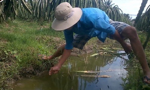 Thanh niên câu được lươn "khủng" dài 70 cm ở Tiền Giang