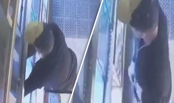Video: Thanh niên thản nhiên ăn trộm trăn giấu trong quần