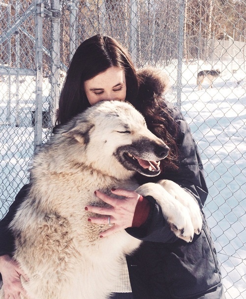 Cô gái được chó sói cứu thoát khỏi bệnh trầm cảm sau khi bị cưỡng hiếp
