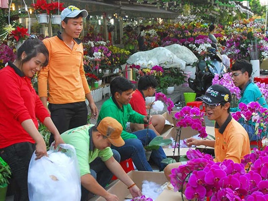 Hoa đẹp, kiểng lạ ba miền hội tụ về Sài Gòn