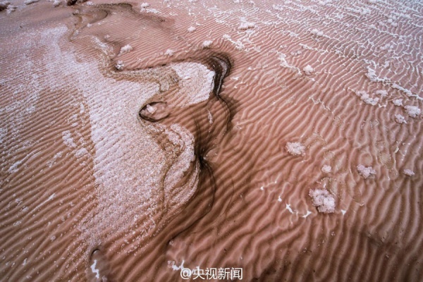 Ngỡ ngàng vẻ đẹp kỳ ảo của "sa mạc hồng" ở Trung Quốc