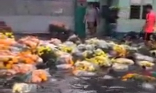 Hoa bán Tết bị cuốn trôi trong mưa lớn Sài Gòn