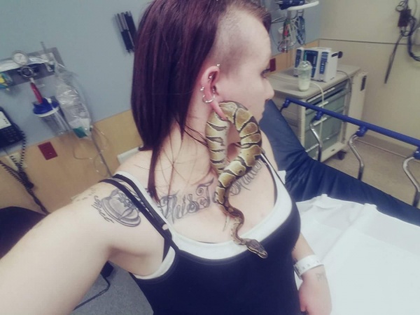 Con rắn mắc kẹt trong dái tai khiến người phụ nữ sợ hãi