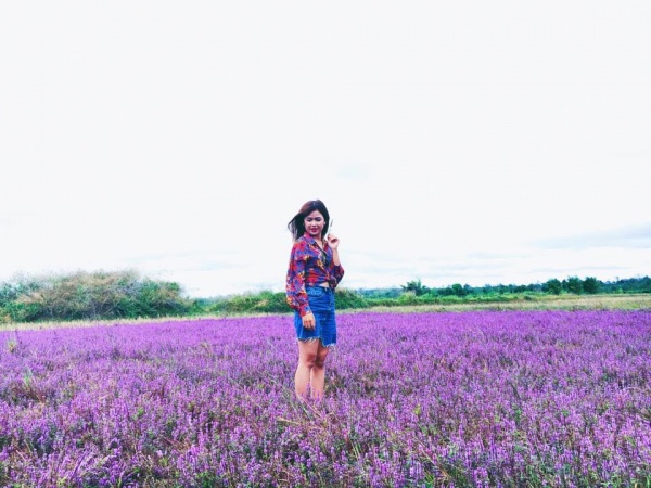 Mê mẩn cánh đồng hoa tím biếc đẹp ngỡ trời Âu ở Đắk Lắk