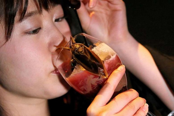 Thưởng thức đồ uống với côn trùng ngày Valentine
