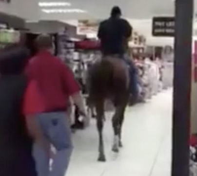 Phi ngựa vào siêu thị, đi lại dọc ngang để mua sắm