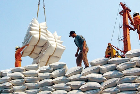 Lập đoàn xác minh vụ “xin giấy phép xuất khẩu gạo mất 20.000 USD”